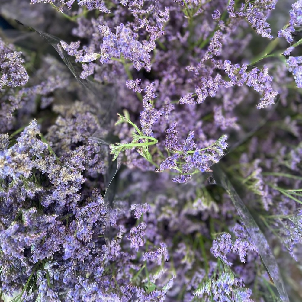 Meet your Posher, Kynnleigh